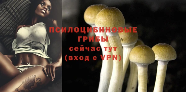 а пвп мука Баксан