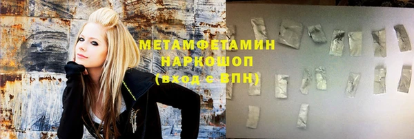 прущие грибы Сатка